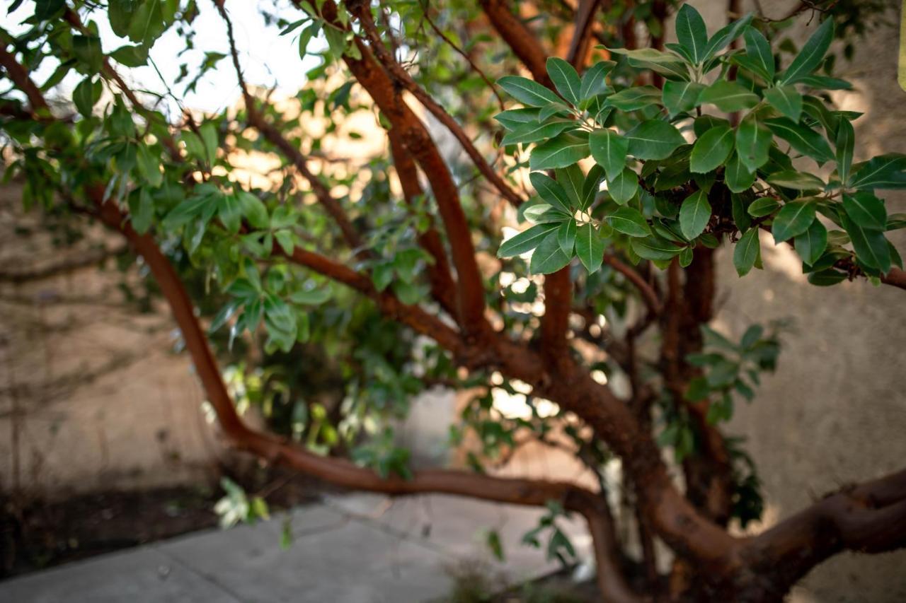 Seven Branches Venue And Inn Sonoma Exterior photo